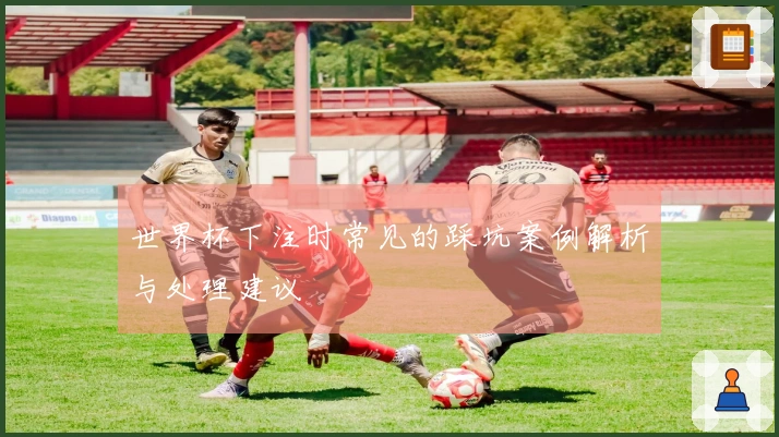 世界杯下注时常见的踩坑案例解析与处理建议