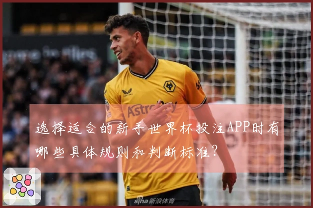 选择适合的新手世界杯投注APP时有哪些具体规则和判断标准？