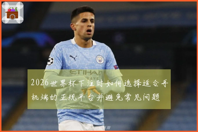 2026世界杯下注时如何选择适合手机端的正规平台并避免常见问题