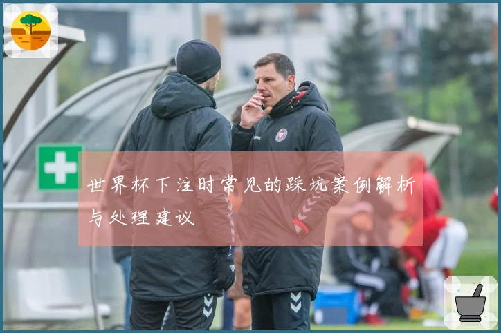 世界杯下注时常见的踩坑案例解析与处理建议