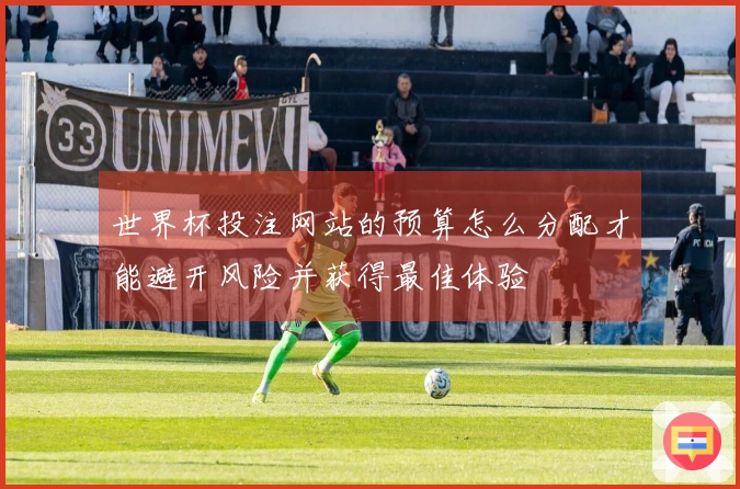 世界杯投注网站的预算怎么分配才能避开风险并获得最佳体验