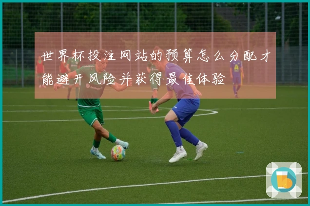 世界杯投注网站的预算怎么分配才能避开风险并获得最佳体验